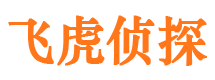 北流侦探公司